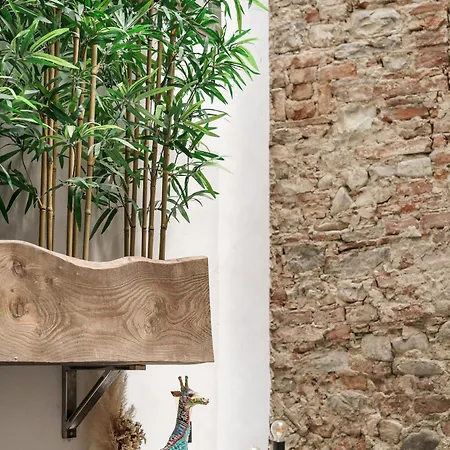 Albizi Dimora Home, Appartamento